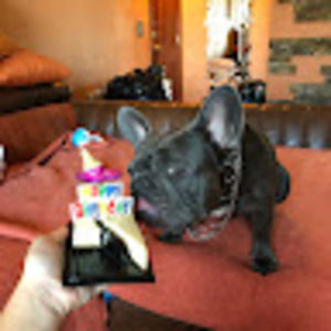 Meet your Posher, Masha